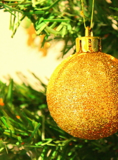 Christmas tree branch with a golden bold